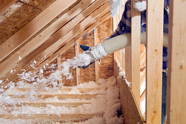 Best Basement Insulation  in Three Points, AZ