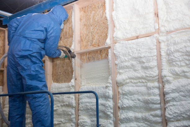 Best Attic Insulation Installation  in Three Points, AZ